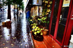 street coner illusion (168)