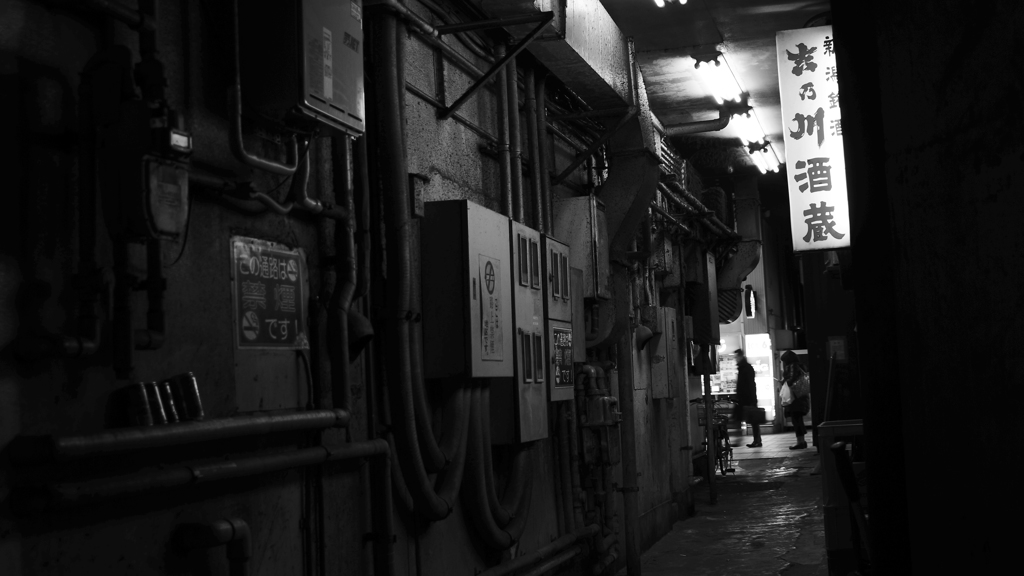 tokyo monochrome#448