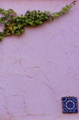 quiet color#429