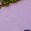 quiet color#429