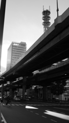 tokyo monochrome#528