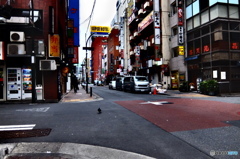 street coner illusion (215)