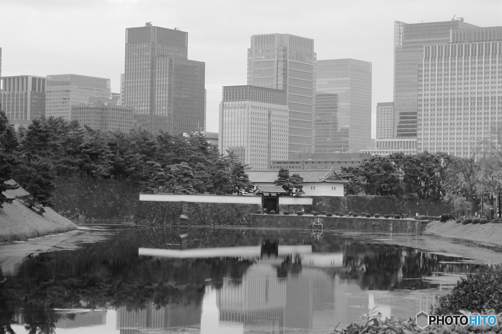 tokyo monochrome#778