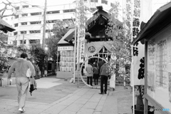 tokyo monochrome# (1579)