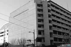 tokyo monochrome# (1628)