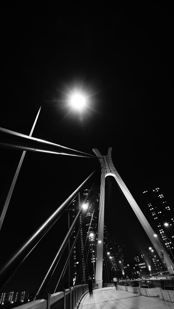 tokyo monochrome#537