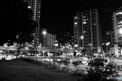tokyo monochrome# (1098)