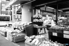 tokyo monochrome#921