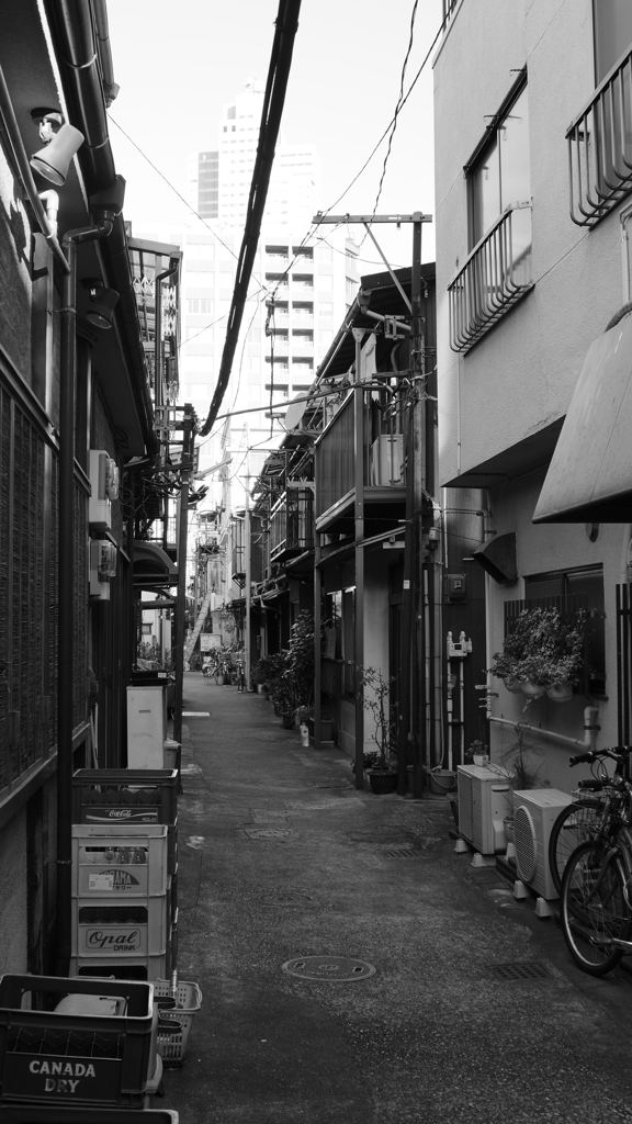 tokyo monochrome#680