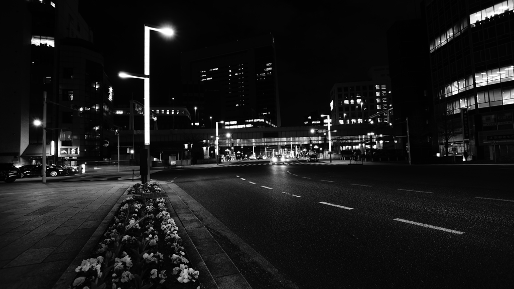 tokyo monochrome#260