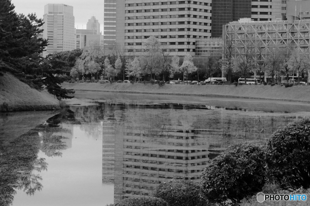 tokyo monochrome#777