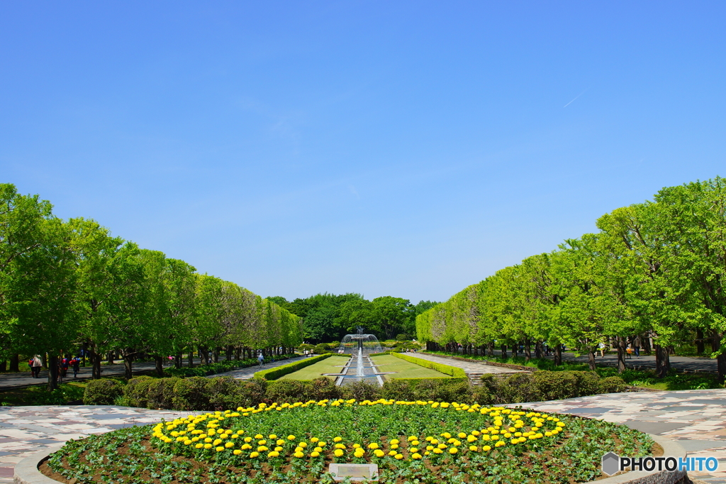 のんびり散歩タイム