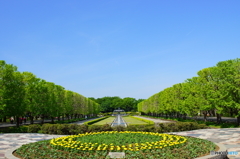 のんびり散歩タイム