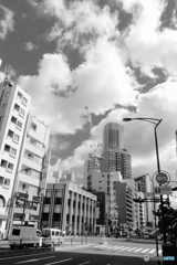 tokyo monochrome# (1544)