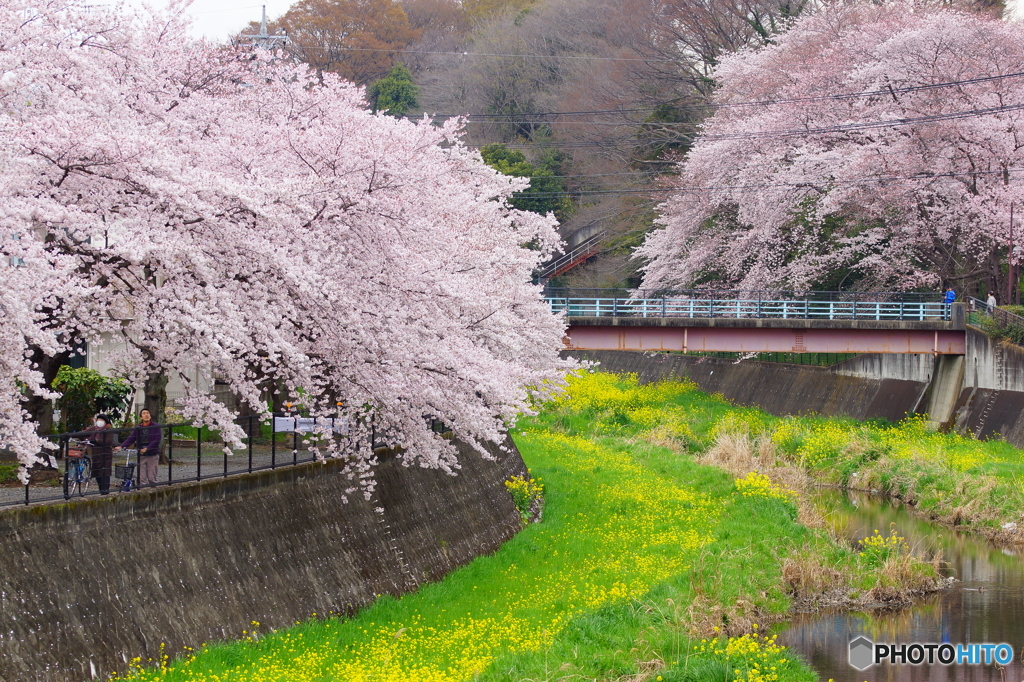 見惚れる風景