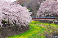見惚れる風景