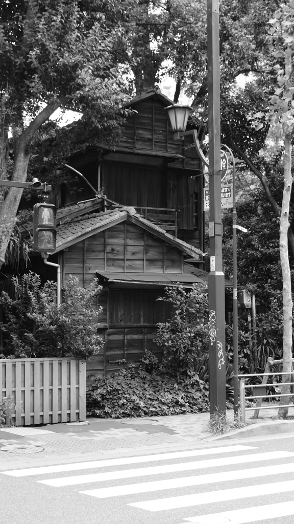 tokyo monochrome#327