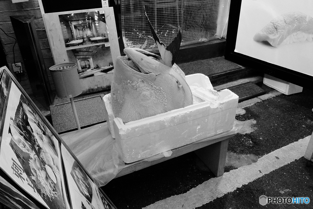 tokyo monochrome# (1571)