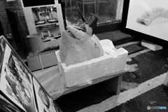 tokyo monochrome# (1571)