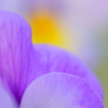 DSC00978