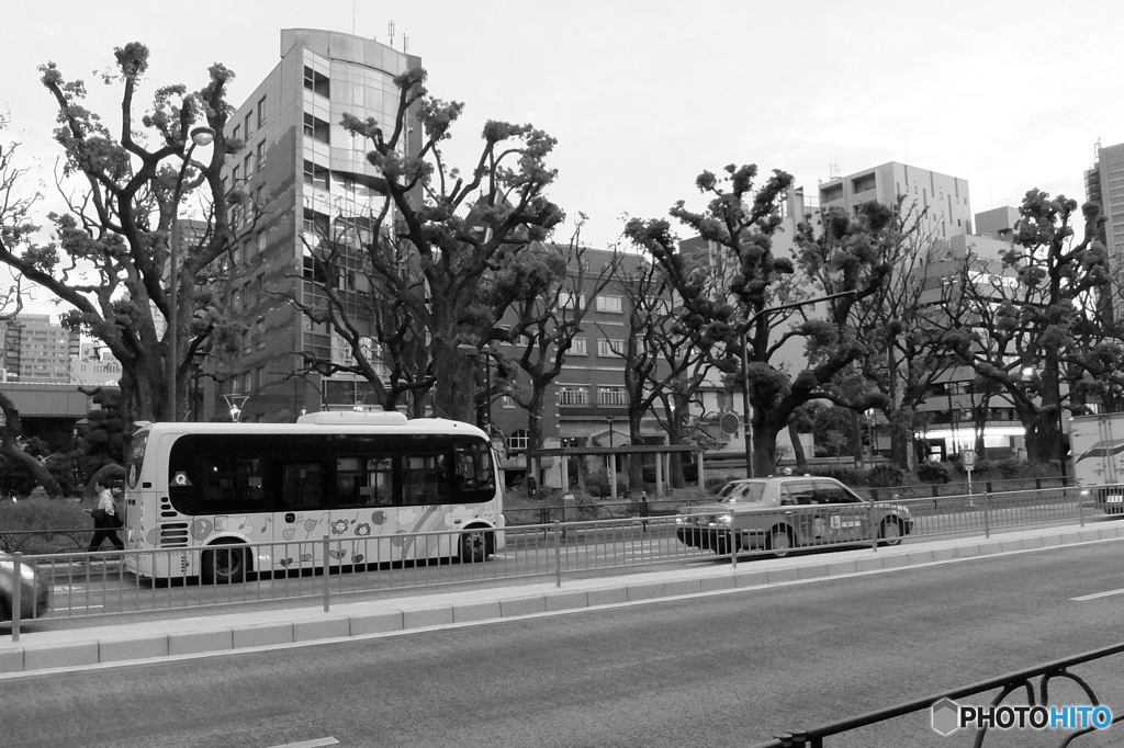 tokyo monochrome# (1489)