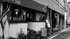 tokyo monochrome#661