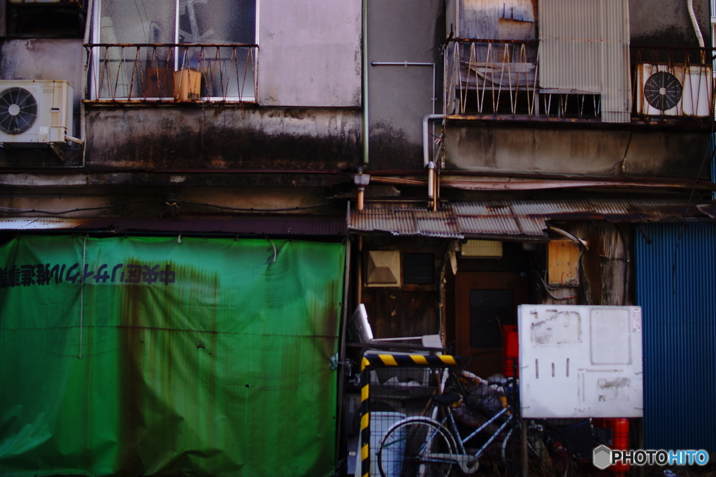 quiet color#1081