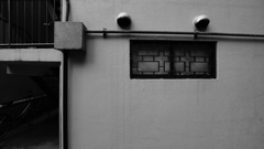 quiet color#398