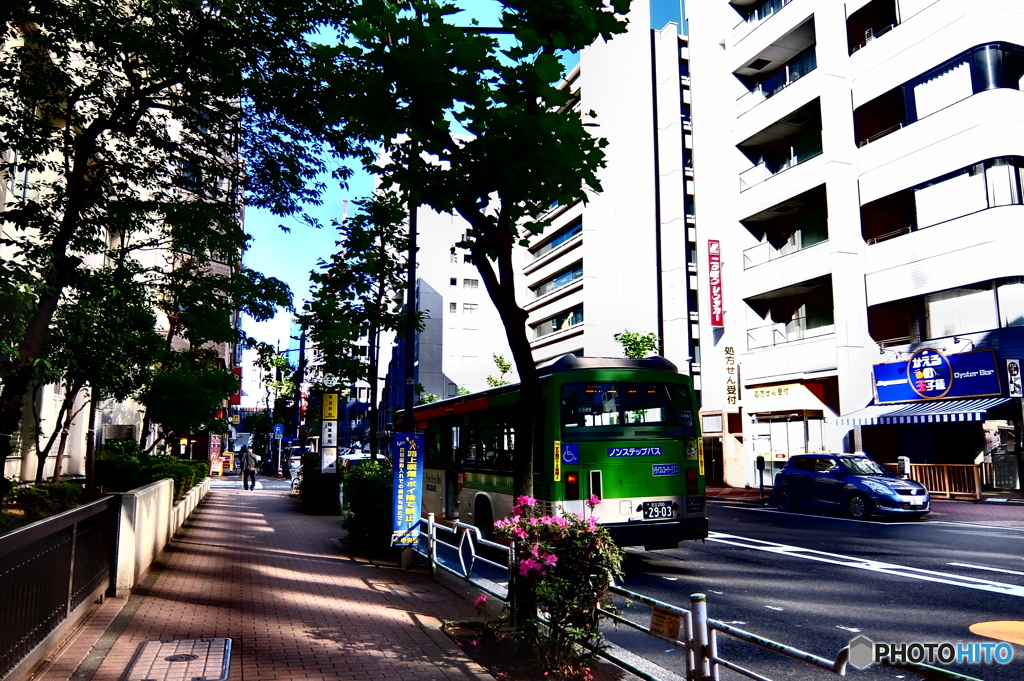 street coner illusion (445)