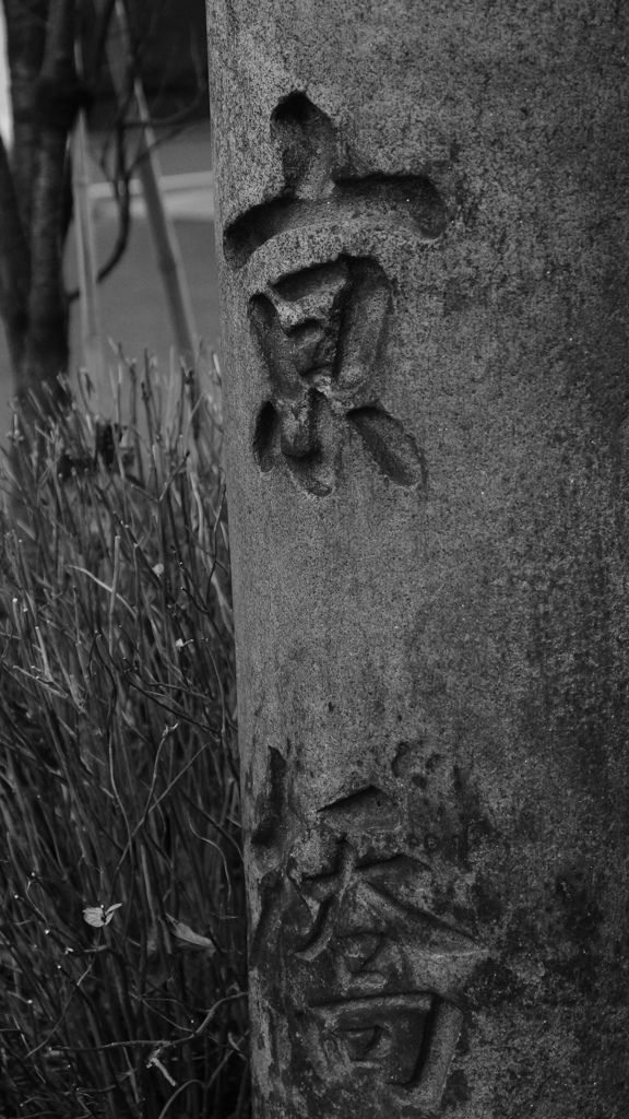 tokyo monochrome#598