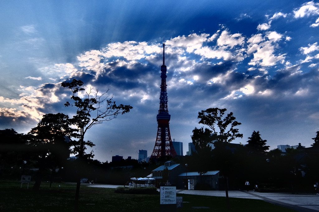タワ～