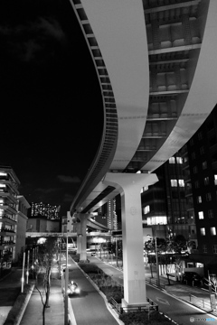tokyo monochrome# (1196)