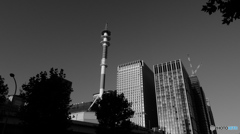 tokyo monochrome#874