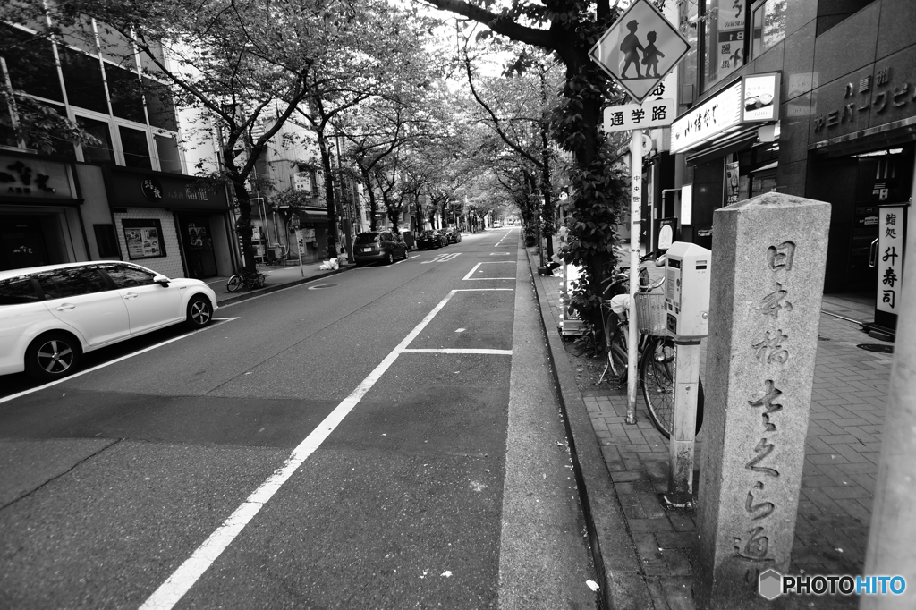 tokyo monochrome# (1281)