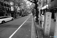 tokyo monochrome# (1281)