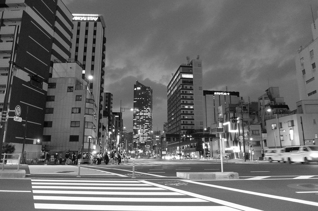 tokyo monochrome# (1329)