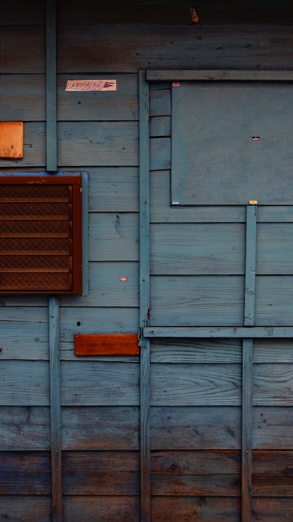 quiet color#299