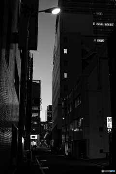 tokyo monochrome# (1564)