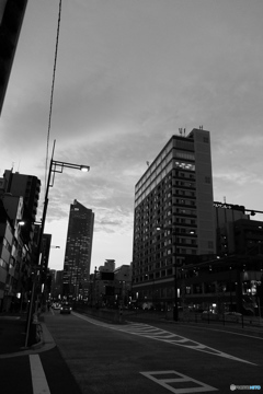 tokyo monochrome# (1480)