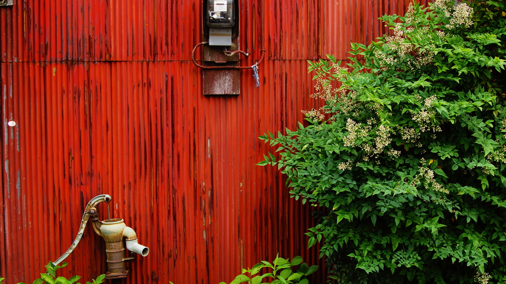 quiet color#337