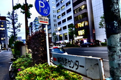 street coner illusion (417)