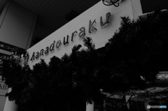 tokyo monochrome#773 