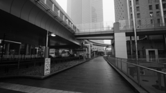 tokyo monochrome #572東新橋