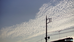 秋の空