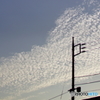 秋の空
