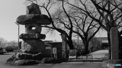 tokyo monochrome# (1147)