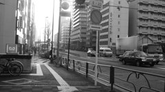 tokyo monochrome#515