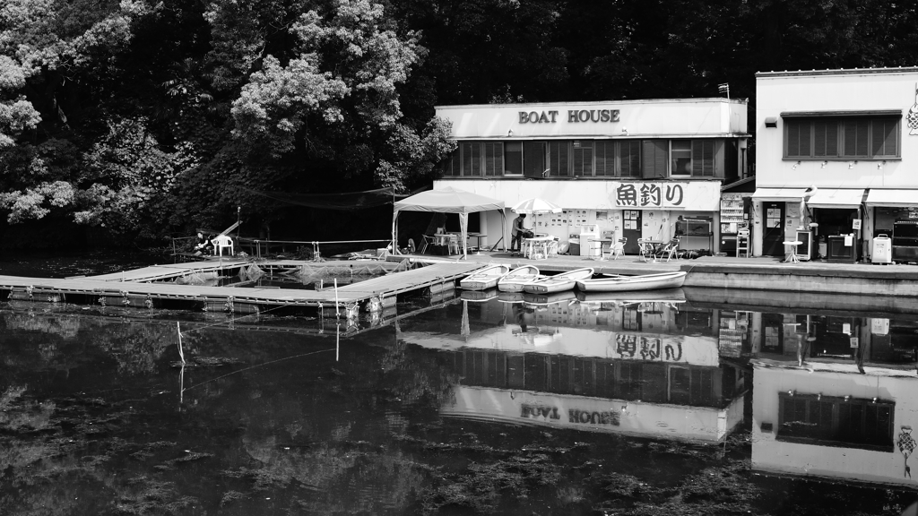 tokyo monochrome#548