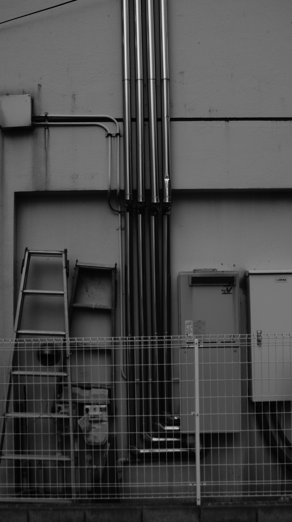 quiet color#377