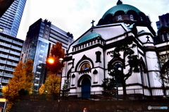 street coner illusion (117)